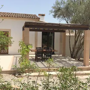 Tortugas Campos (Mallorca)
